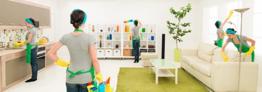 Comment expliquer le succès des titres-services en Belgique ?